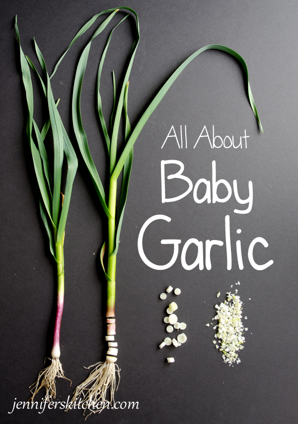 What is Baby Garlic