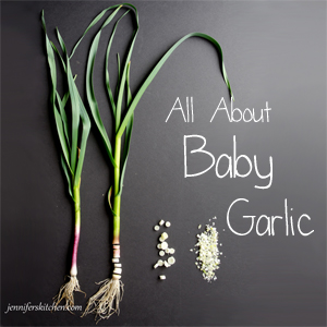 What is Baby Garlic?