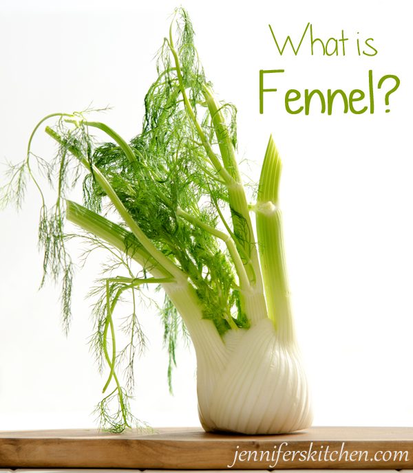 What-is-Fennel?