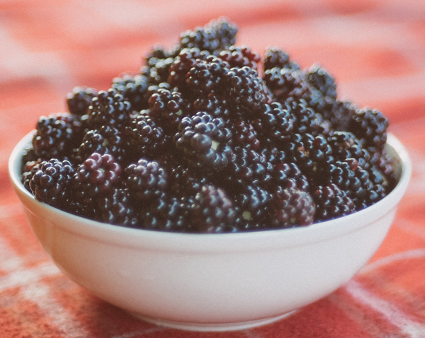 Blackberries-picking
