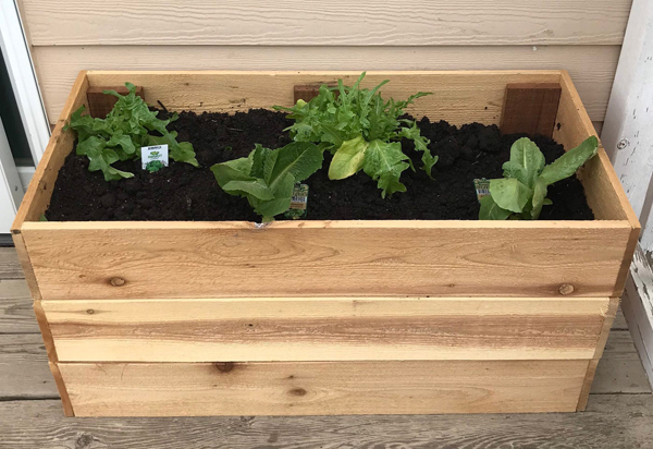 Small Space Gardening