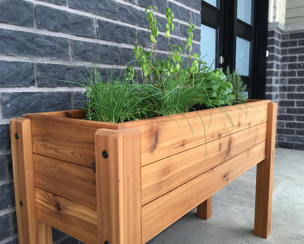 Container Vegetable Gardening