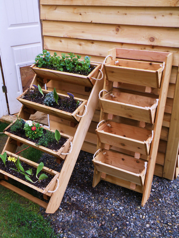 Small Space Gardening