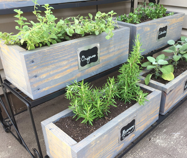 Container Vegetable Gardening